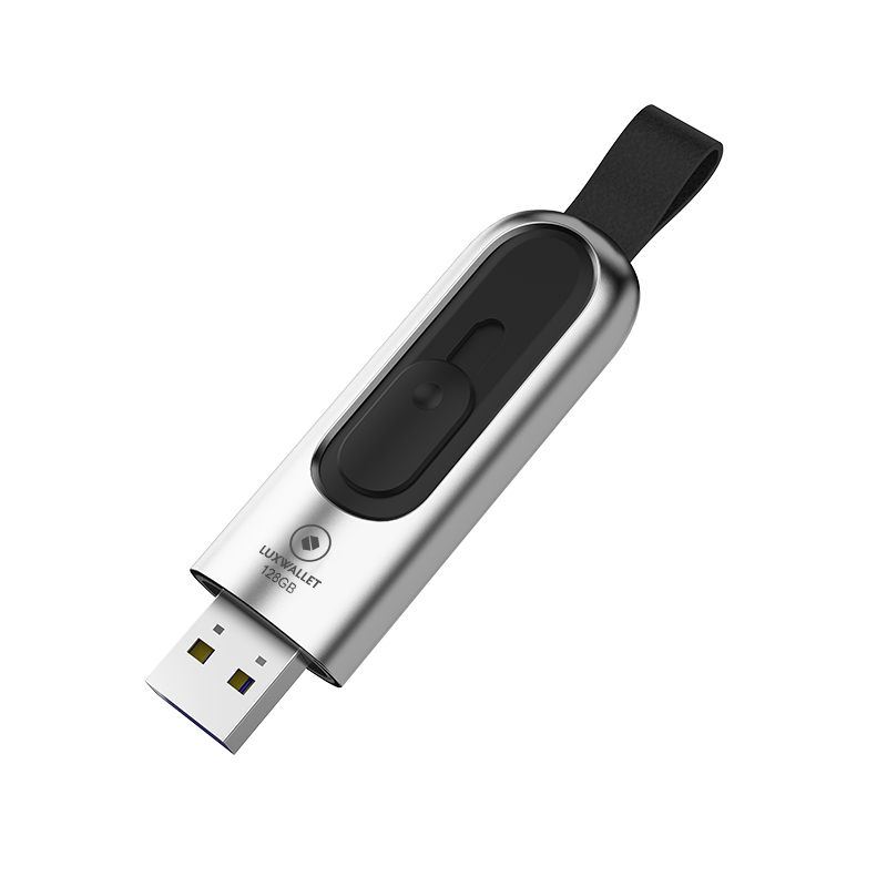 LUXWALLET PD1 Metalen USB3.1/3.0 Flash Drive – USB Stick - 128GB - Leessnelheid tot 100Mb/s – Push&Pull met Leren Staartriem- Zilver - Afbeelding 3
