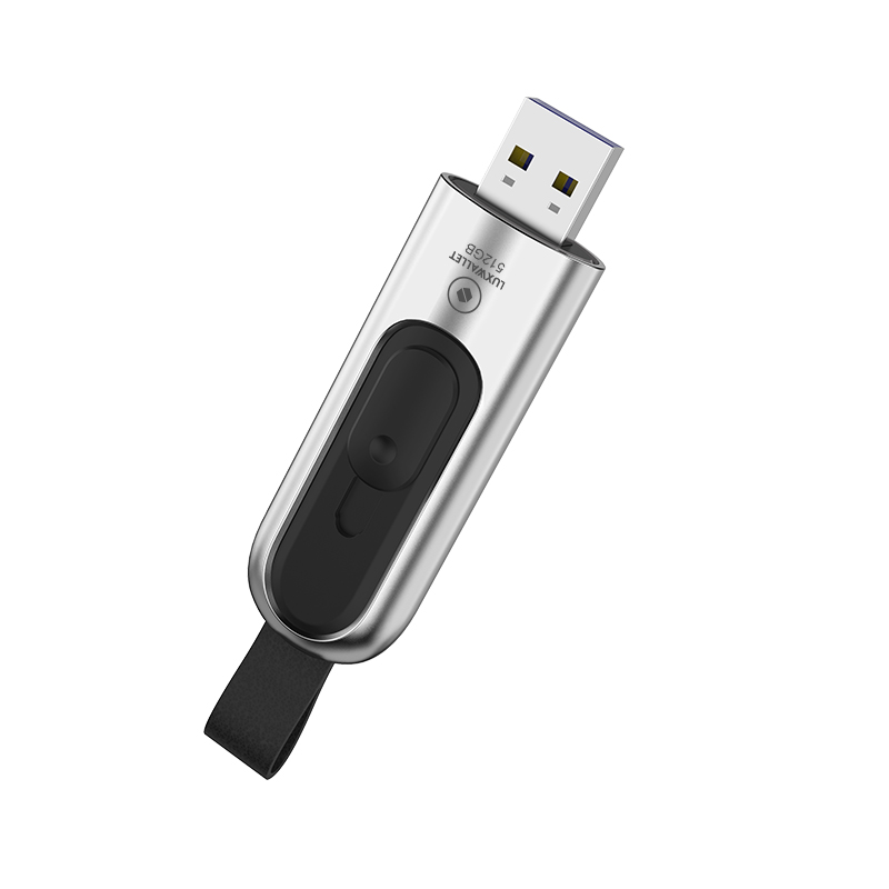 LUXWALLET PD1 Metalen USB3.1/3.0 Flash Drive – USB Stick - 512GB - Leessnelheid tot 100Mb/s – Push&Pull met Leren Staartriem- Zilver - Afbeelding 3