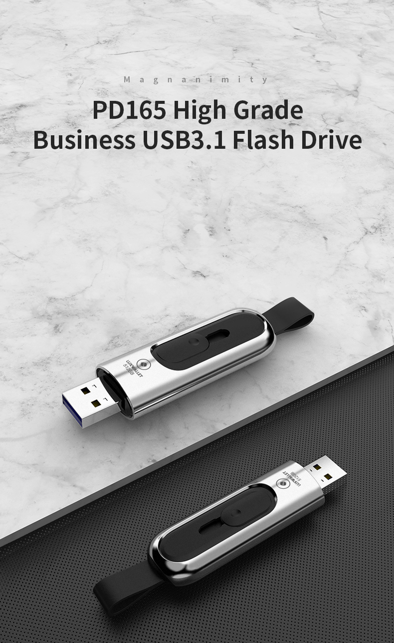 LUXWALLET PD1 Metalen USB3.1/3.0 Flash Drive – USB Stick - 512GB - Leessnelheid tot 100Mb/s – Push&Pull met Leren Staartriem- Zilver - Afbeelding 14