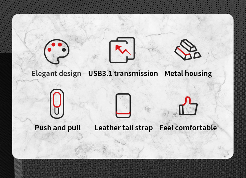 LUXWALLET PD1 Metalen USB3.1/3.0 Flash Drive – USB Stick - 512GB - Leessnelheid tot 100Mb/s – Push&Pull met Leren Staartriem- Zilver - Afbeelding 13