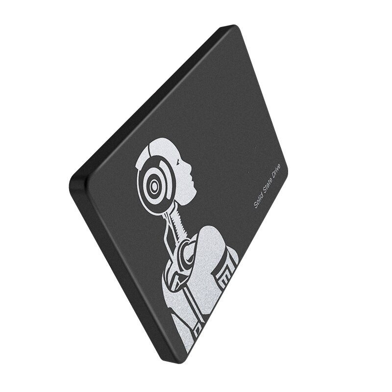 LUXWALLET DMF5 - Interne 512GB SSD 2.5 Inch SATA3 (6Gbps) - 3D Nand - NVME - Interne Solid State Drive Harde Schijf