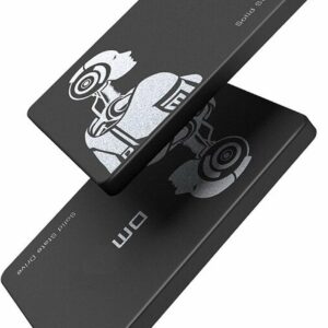 LUXWALLET DMF5 - Interne 256GB SSD 2.5 Inch SATA3 (6Gbps) - 3D Nand - NVME - Interne Solid State Drive Harde Schijf