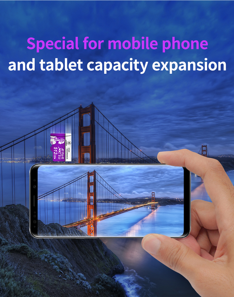 LUXWALLET® HC - 256 GB Micro SD Kaart - TF Klasse 10 - High Endurance - Snelle Gegevensoverdracht - Paars - Afbeelding 3