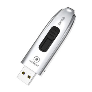 LUXWALLET DataPulse – USB 3.1 Flashdrive - Uitschuifbaar Ontwerp - Ingebouwde Beveiliging – Metalen Behuizing – USB Stick – OTG – 256GB –Zilver
