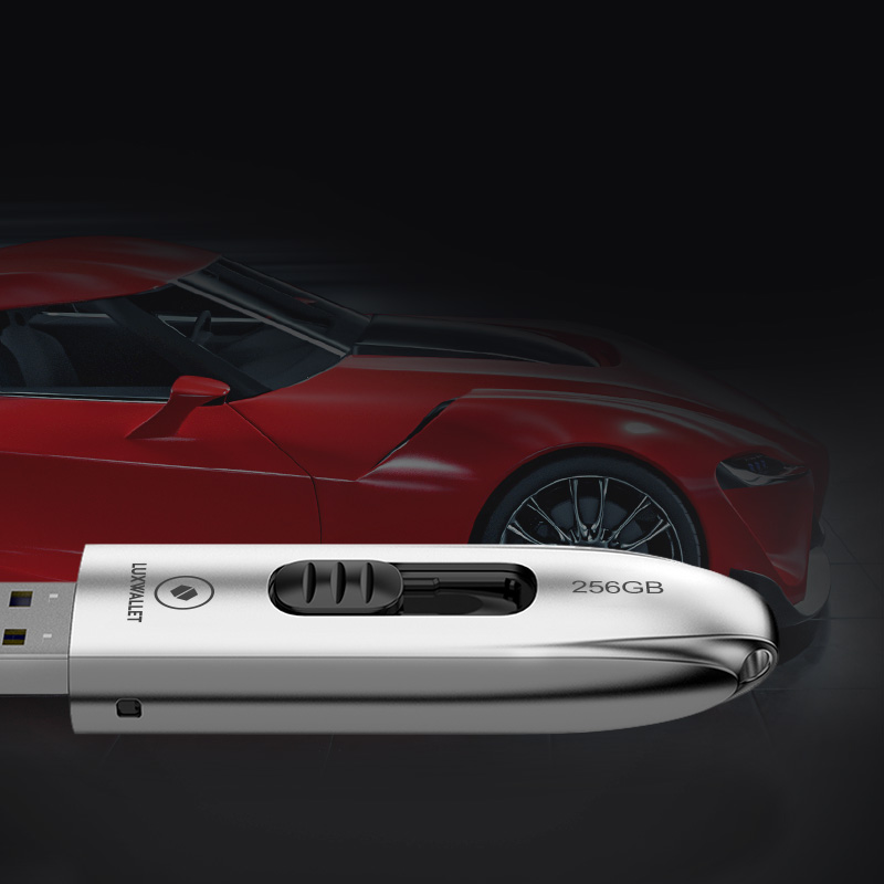 LUXWALLET DataPulse – USB 3.1 Flashdrive - Uitschuifbaar Ontwerp - Ingebouwde Beveiliging – Metalen Behuizing – USB Stick – OTG – 256GB –Zilver - Afbeelding 6