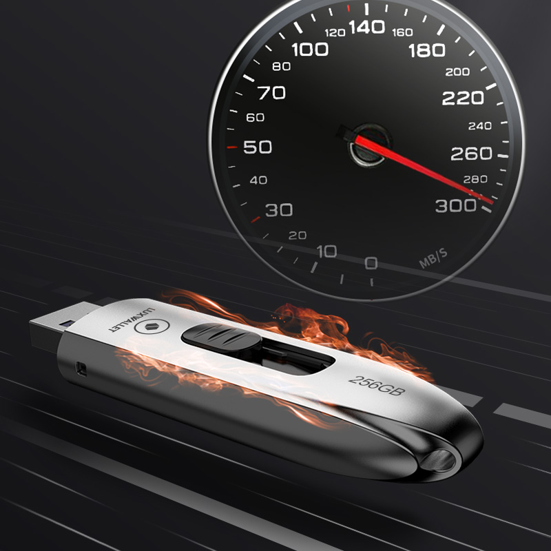 LUXWALLET DataPulse – USB 3.1 Flashdrive - Uitschuifbaar Ontwerp - Ingebouwde Beveiliging – Metalen Behuizing – USB Stick – OTG – 256GB –Zilver - Afbeelding 7