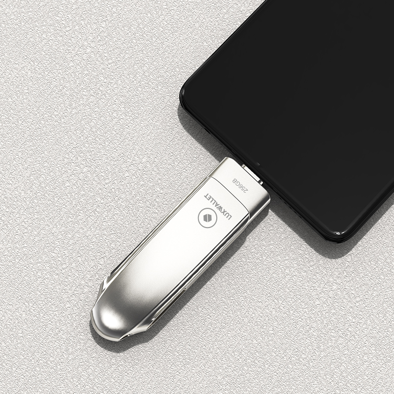 LUXWALLET FlashGuard – USB 3.2 Naar USB-C 3.1 Flashdrive - Ingebouwde Beveiliging – Metalen Behuizing – USB Stick – OTG – 256GB –Zilver - Afbeelding 5