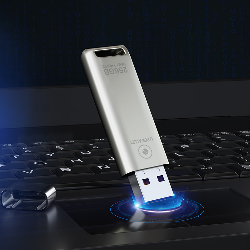 LUXWALLET FlashBlaze – USB 3.2 Flashdrive – 256GB – OTG – USB-Stick - Stootbestendig Design – Leessnelheid tot 110 Mbps – Snelle Overdracht – Zilver - Afbeelding 7